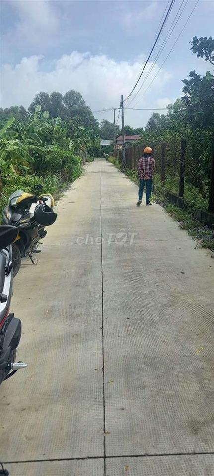 Đất chính chủ
