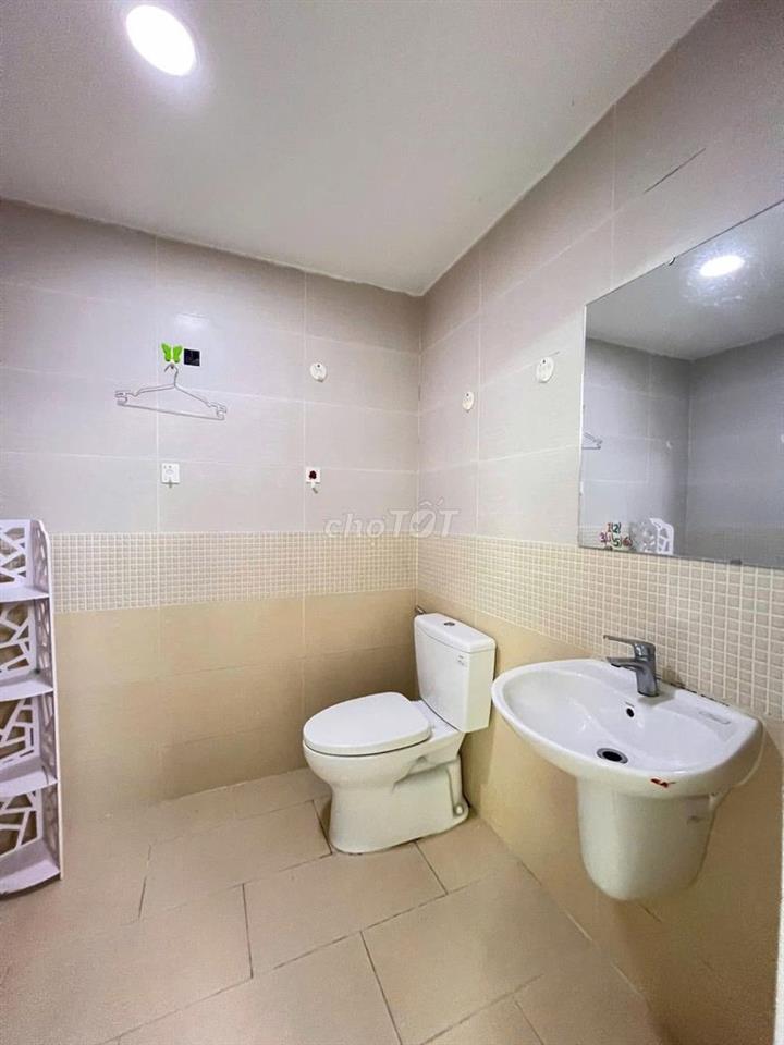 Cho thuê chung cư Hoa Sen, 262 Lạc Long Quân - 3PN, 110m2 giá 14tr5/th