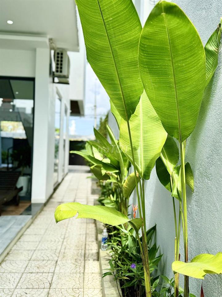 Cho Thuê Villa 5PN - Có Hồ Bơi Khu Nam Việt Á 