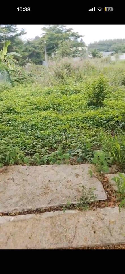 BÁN ĐẤT CHÍNH CHỦ MẶT TIỀN QUỐC LỘ 13