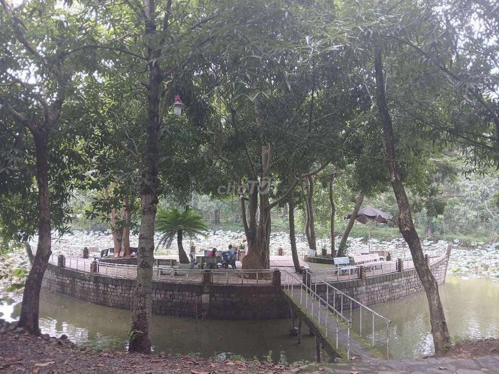 Đất Trung tâm gần chợ Bình Dương