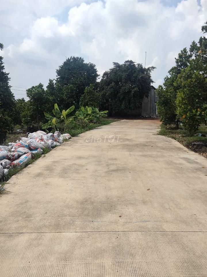 đất xào giá rẻ