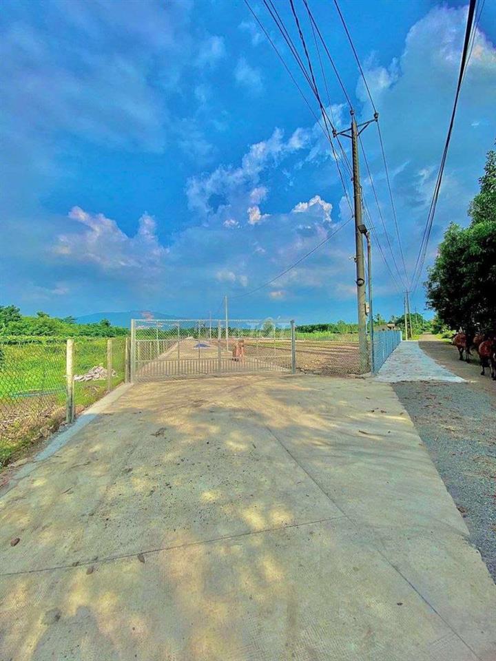 Đất View Núi Chứa Chan Đường bê tông 6m có vỉa hè Giá rẻ.