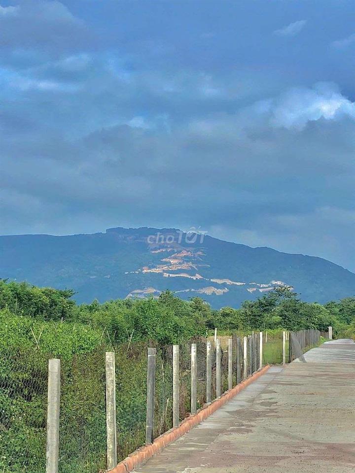 Đất View Núi Chứa Chan Đường bê tông 6m có vỉa hè Giá rẻ.