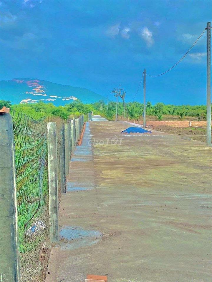 Đất View Núi Chứa Chan Đường bê tông 6m có vỉa hè Giá rẻ.