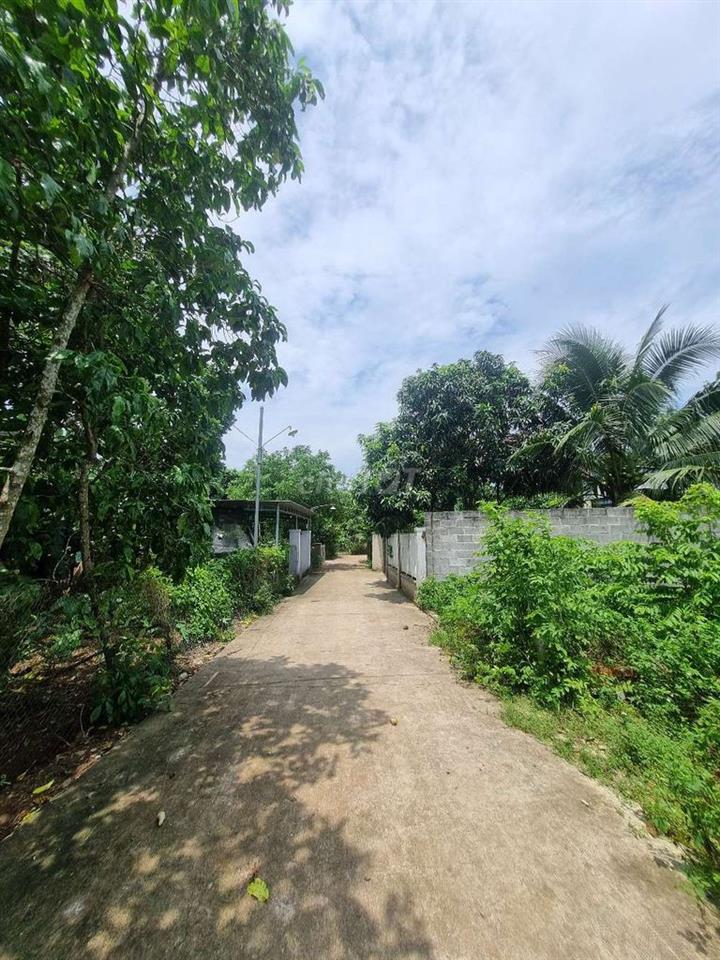 Đất nền Bảo Vinh với 203m2 thổ cư , sổ riêng Khu dân cư đông đúc