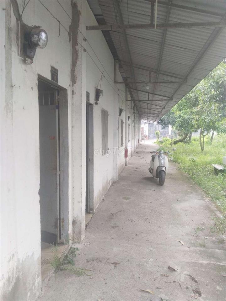 CHO THUÊ PHÒNG TRỌ 2082 HÙNG VƯƠNG, NHƠN TRẠCH ĐỒNG NAI