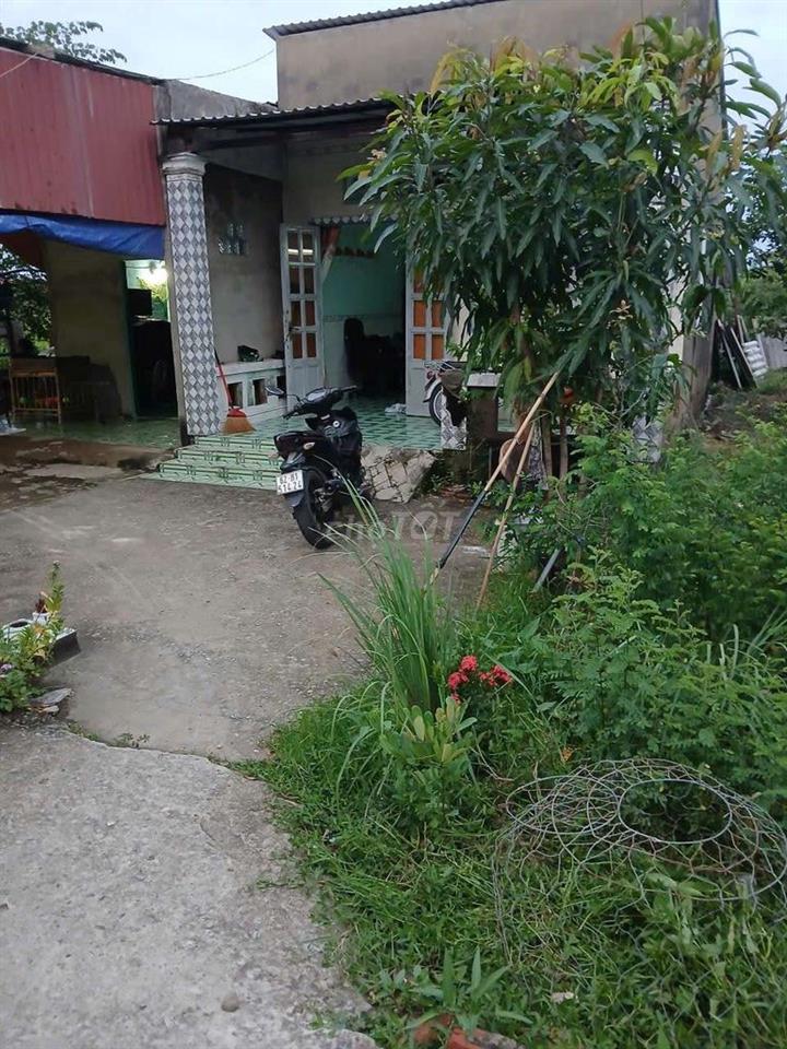 cần bán gắp nhà cấp 4