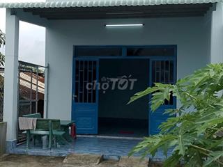 Cho thuê nguyên căn, cách Chợ Hòa Phú 1km, 3 phòng ngủ - 2 tolet