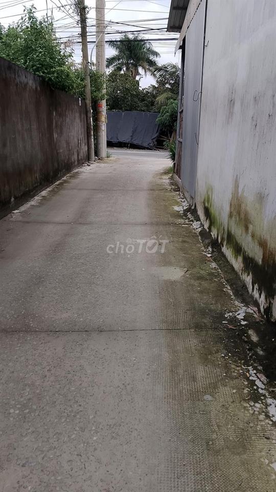 Cho thuê nguyên căn, cách Chợ Hòa Phú 1km, 3 phòng ngủ - 2 tolet