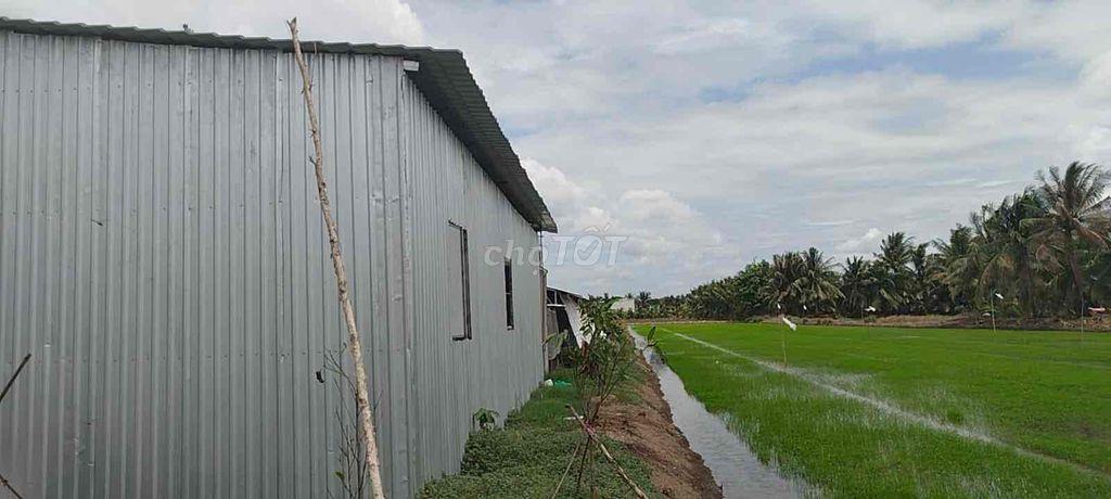 mua đầu tư và đón quy hoạch cung được
