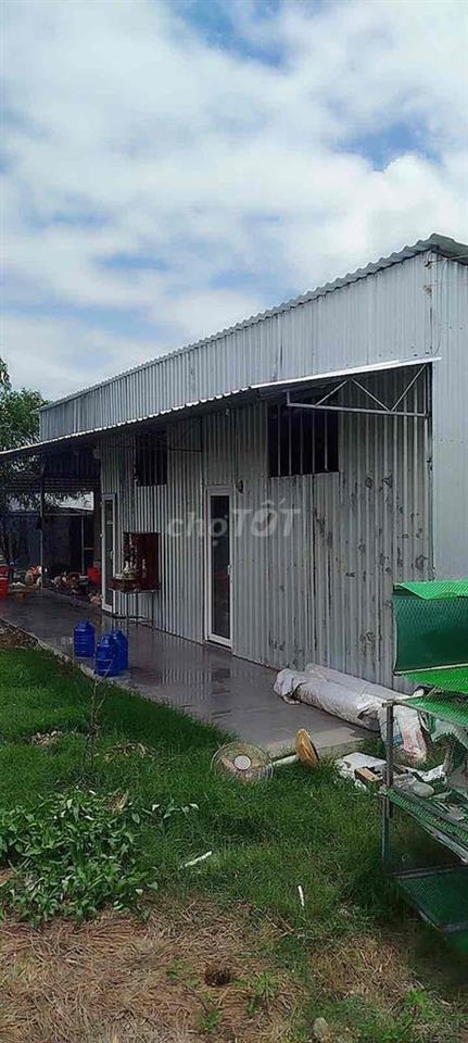 mua đầu tư và đón quy hoạch cung được