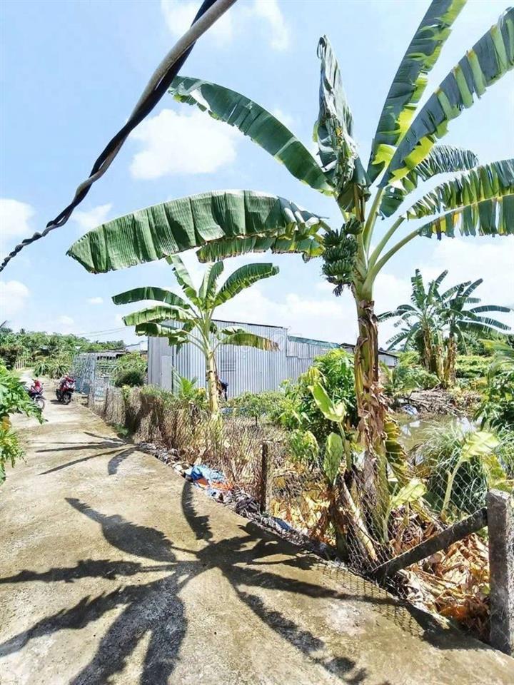 Đất vườn có nhà tiền chế ở châu thành,vĩnh công,Long An