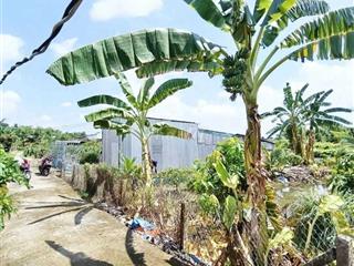 Đất vườn có nhà tiền chế ở châu thành,vĩnh công,Long An