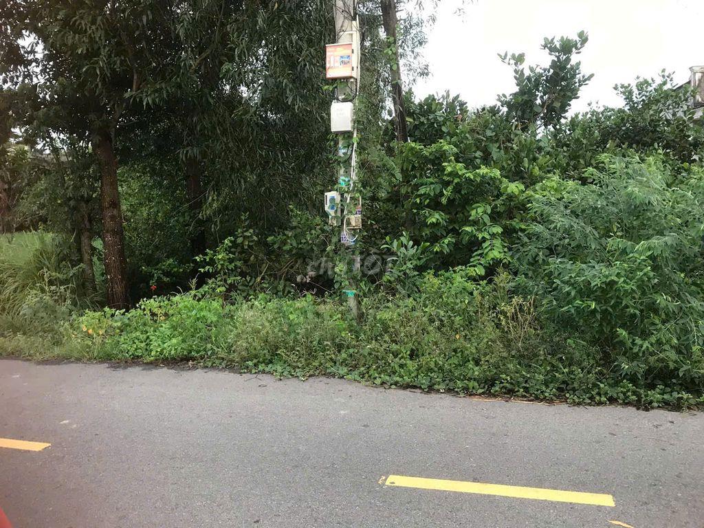 Đất chính chủ