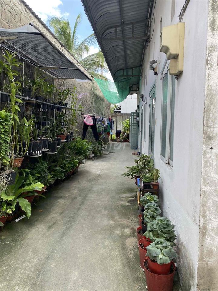 phòng trọ cho thuê