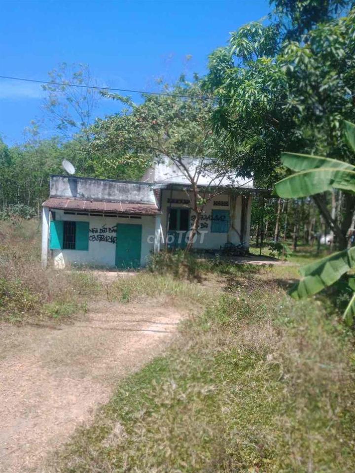 Bán nhà mặt tiền