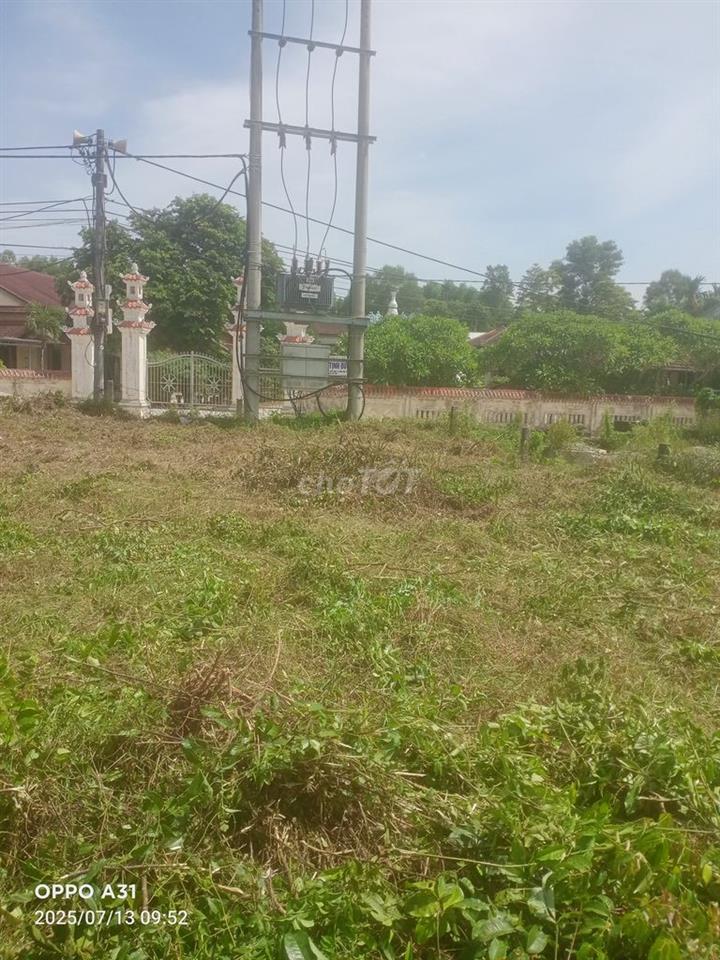 Cần bán gấp.