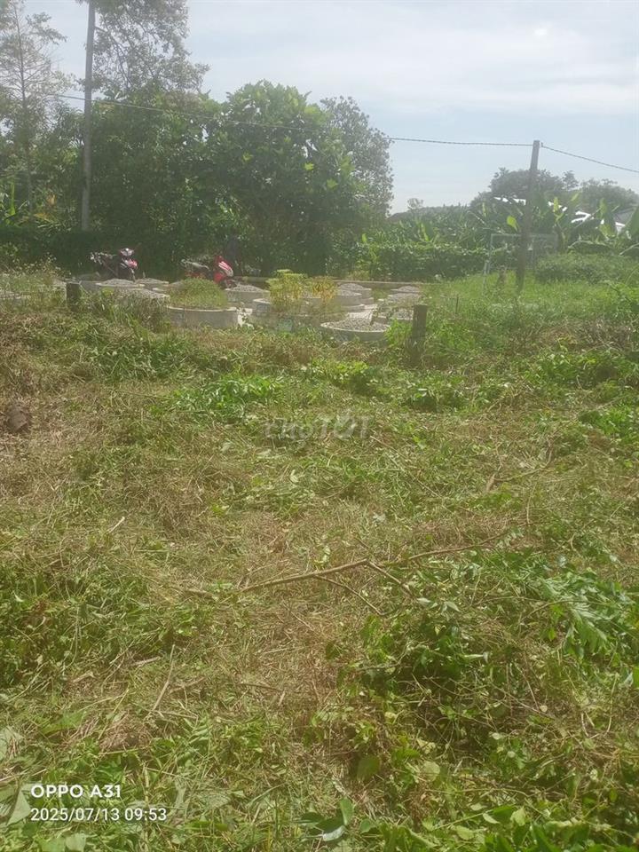 Cần bán gấp.