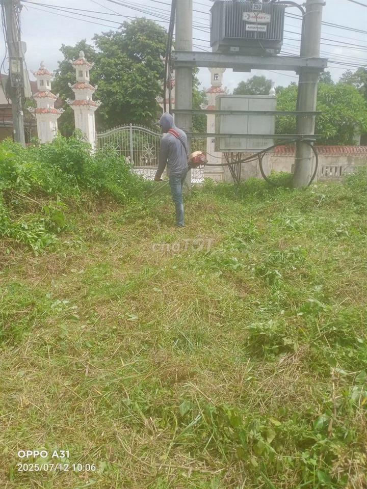 Cần bán gấp.