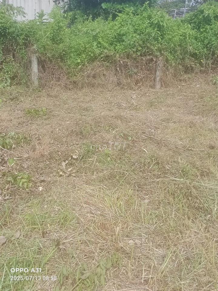 Cần bán gấp.