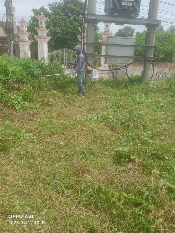 Cần bán gấp.