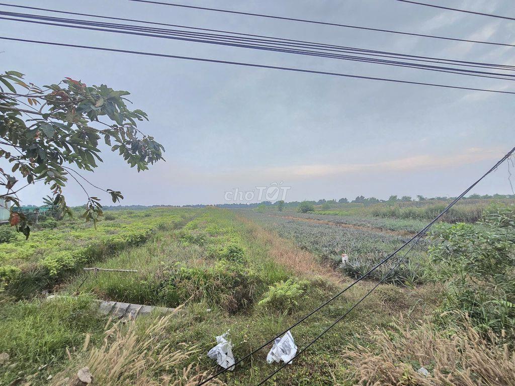 THỬA ĐẤT 41.119M2 SẲN 15.200M2 ĐẤT THỔ  MẶT TIỀN NHỰA HL 41 DÀI 180M