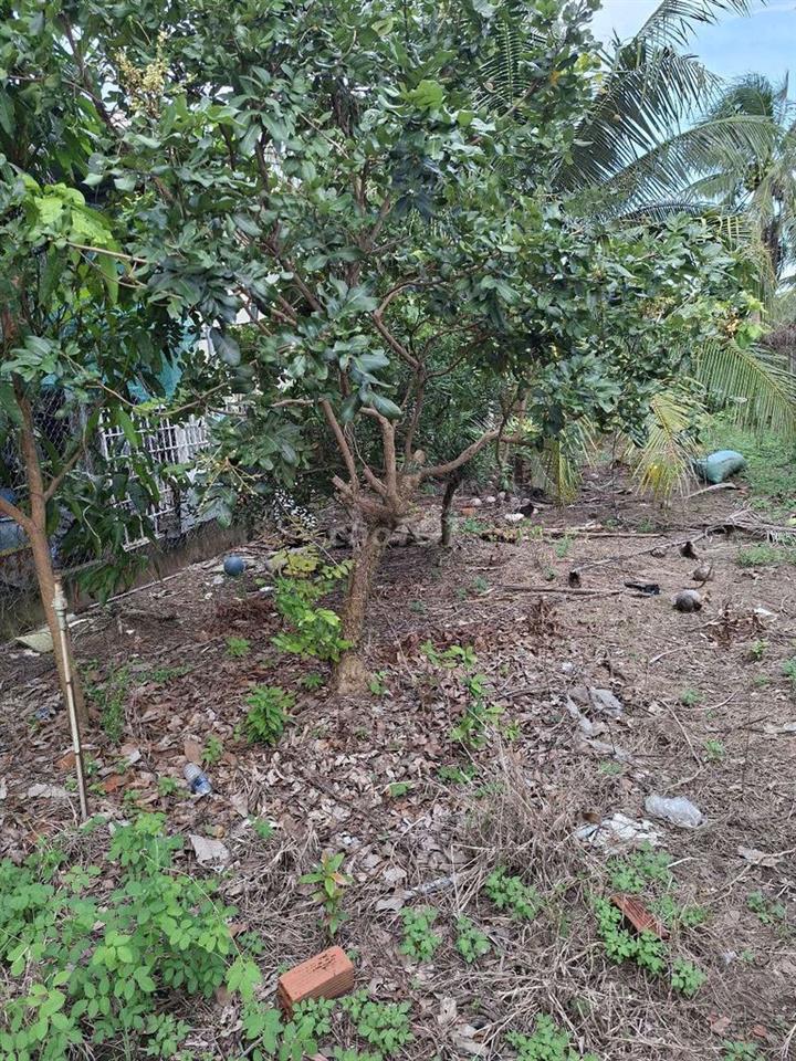 Bán đất Mặt tiền đường Trần Thị Điểu