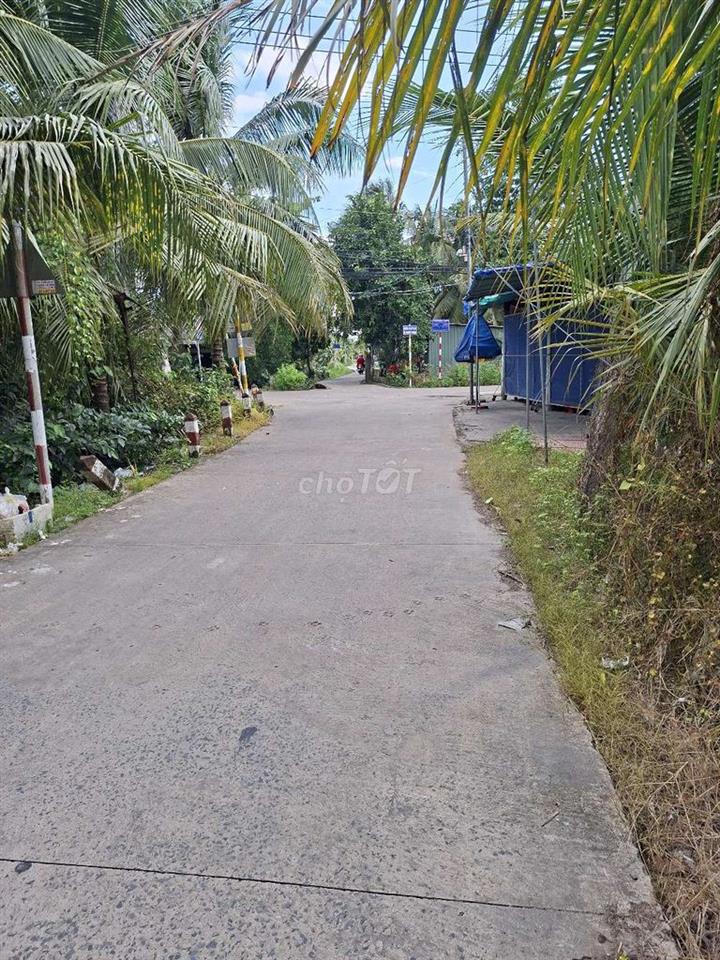 Bán đất Mặt tiền đường Trần Thị Điểu