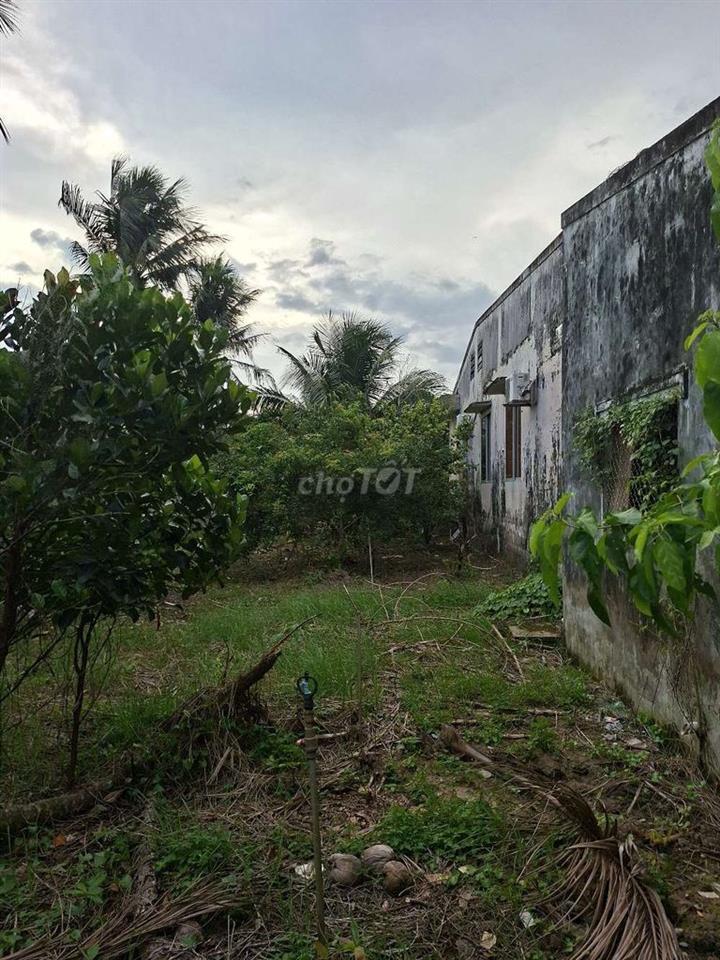 Bán đất Mặt tiền đường Trần Thị Điểu