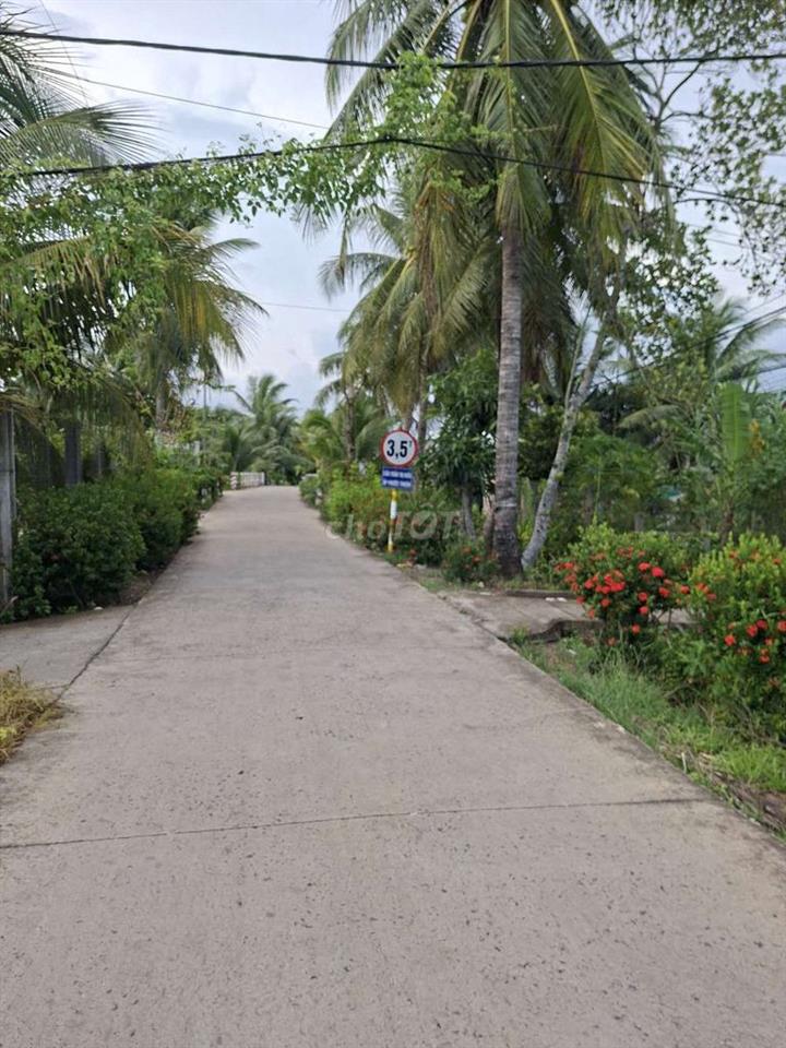 Bán đất Mặt tiền đường Trần Thị Điểu