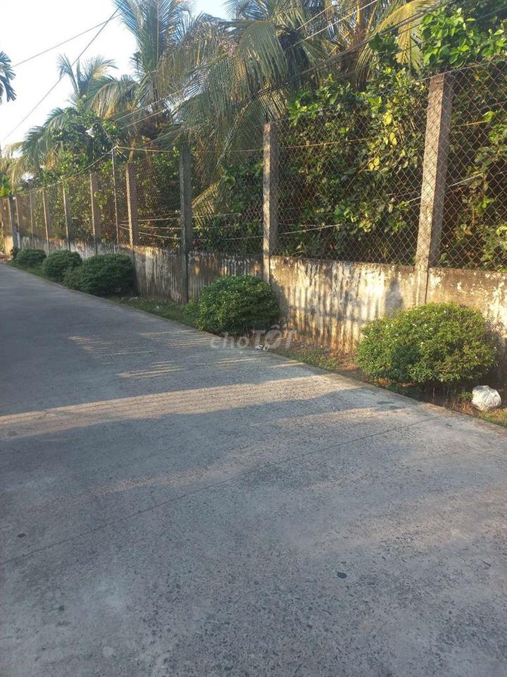 đất giá rẻ ấp cửu hòa xã thân nghĩa cữu châu thành tiền giang