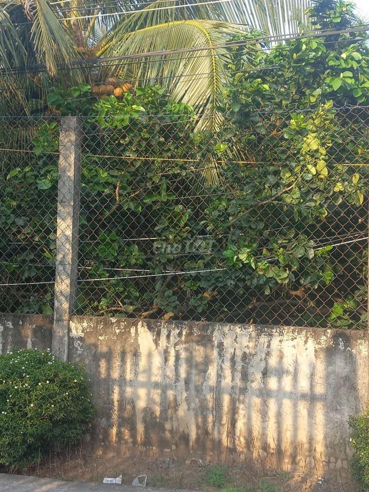 đất giá rẻ ấp cửu hòa xã thân nghĩa cữu châu thành tiền giang