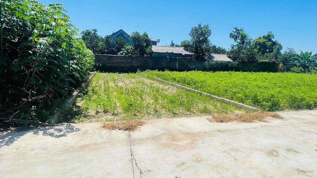 Đất đẹp 650 triệu đường thông ô tô tại Bắc Lý - Hiệp Hoà giáp TL295
