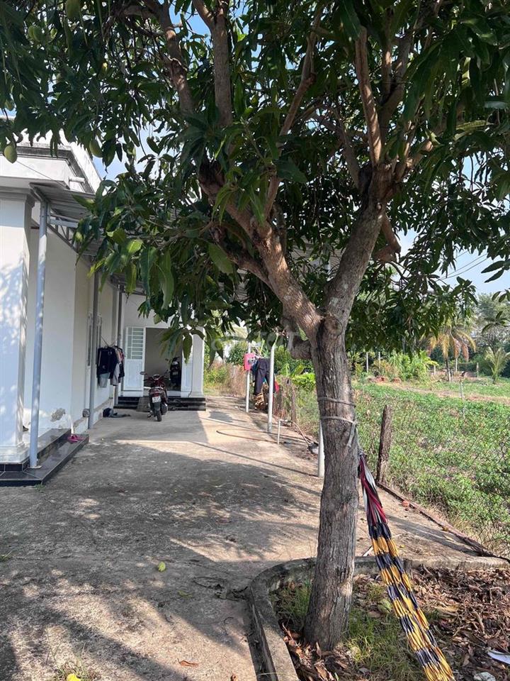 Bán Nhà Full Thổ Vị Trí Đẹp
