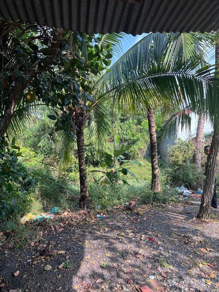 Ra đi em nhà Full Thổ