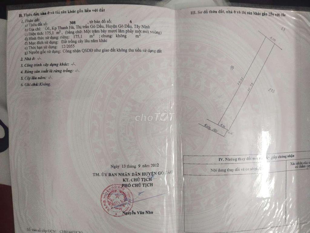 cần bán gấp đất