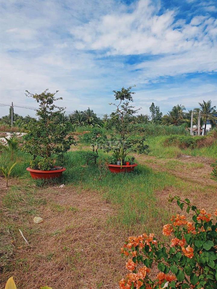 bán nhà đất chính chủ 