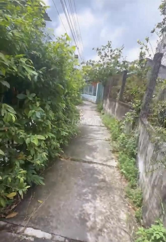 BÁN ĐẤT LONG MỸ VĨNH LONG