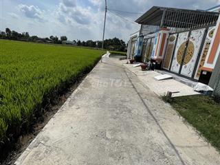 🔥 CHÍNH CHỦ CẦN BÁN ĐẤT MỸ LỘC – GIÁ CHỈ 550 TRIỆU 🔥