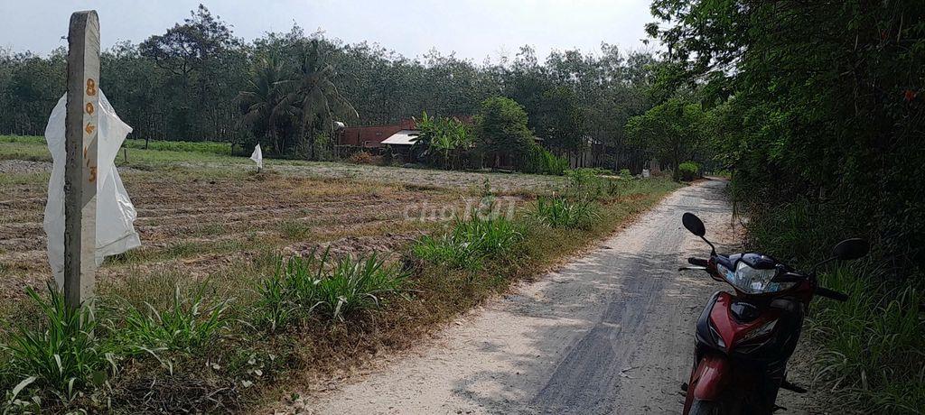 Chính chủ bán lô đất DT 323.5m2, sau lưng UBND phường Lộc Hưng(cũ)