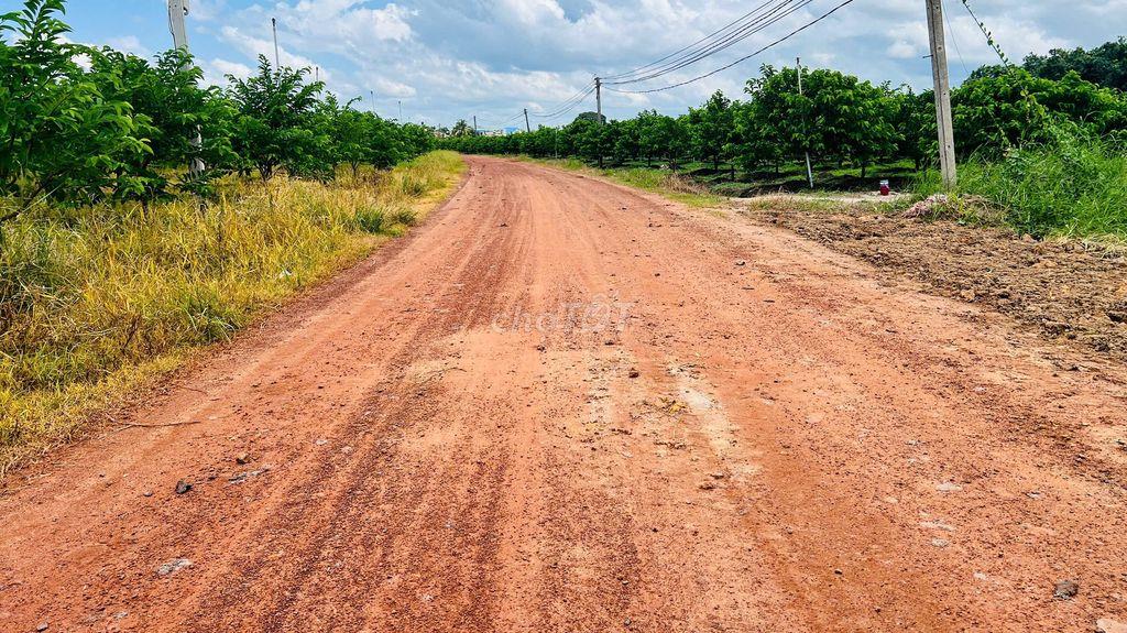 Bán 1000m2 đất gần mặt tiền đường ĐT785