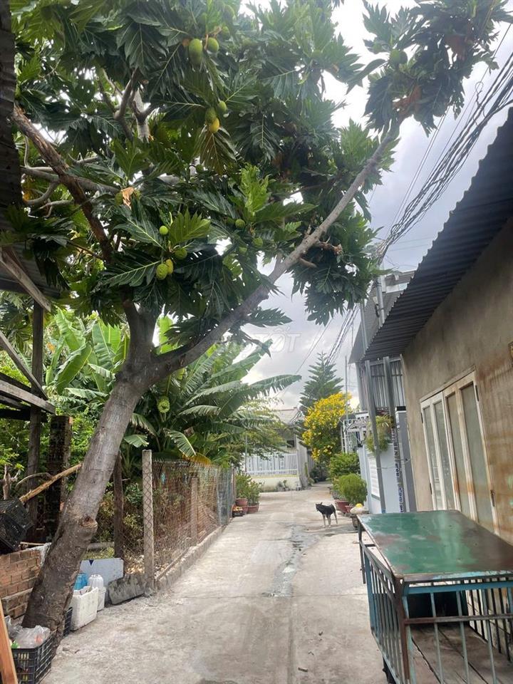 BÁN ĐẤT THỔ CƯ KHU VỰC P.NINH CHỮ-KHÁNH HÒA