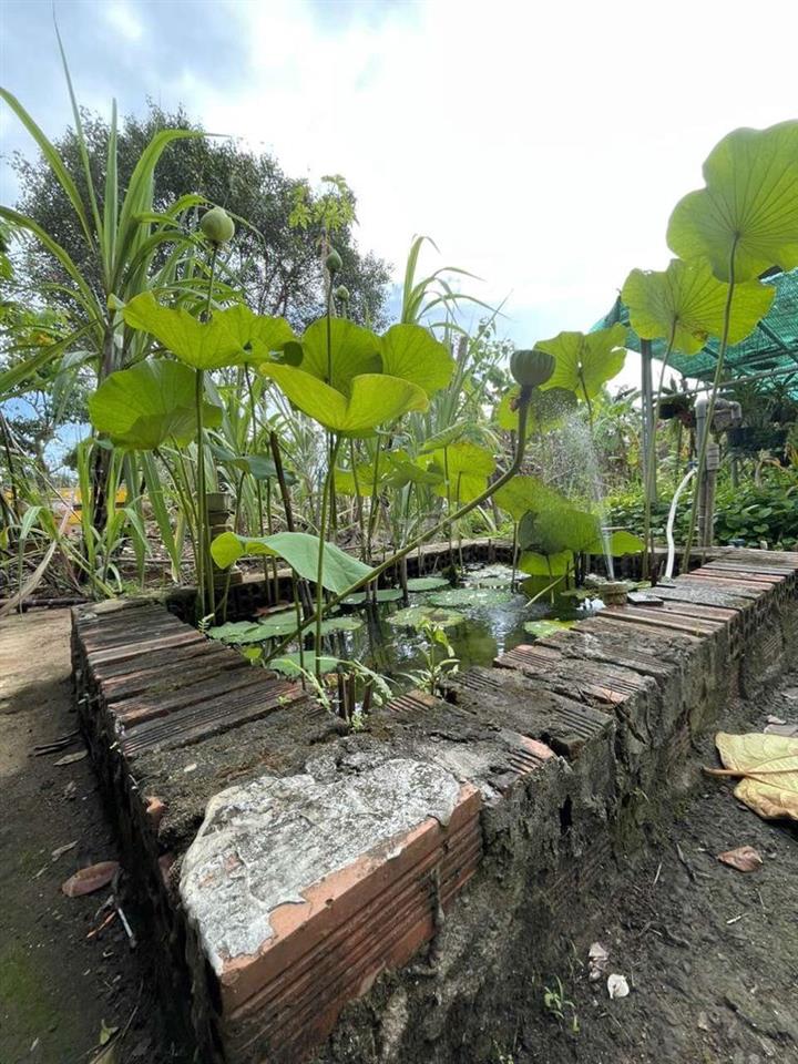 bán nhà 1lâu 1 trệt