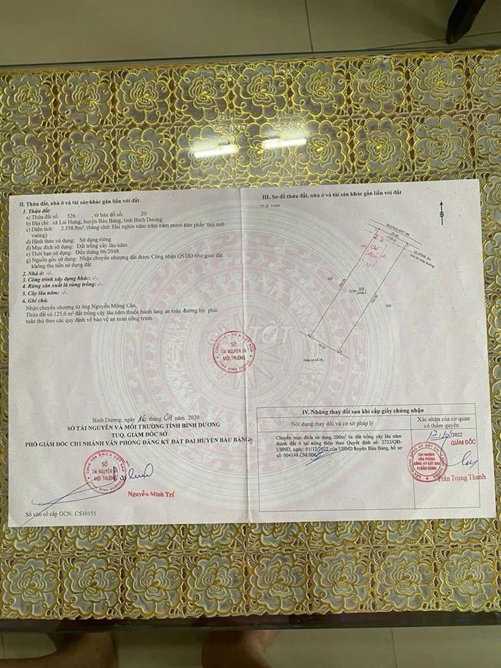 Bán đất và nhà cấp 4 có hàng rào kiên cố, đất đẹp vuông vức