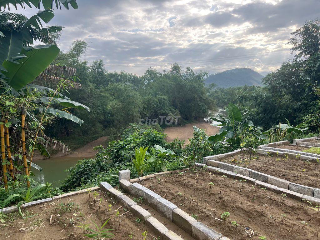 Đất đồi Veiw sông không bao giờ ngập, ô tô vào tận nơi