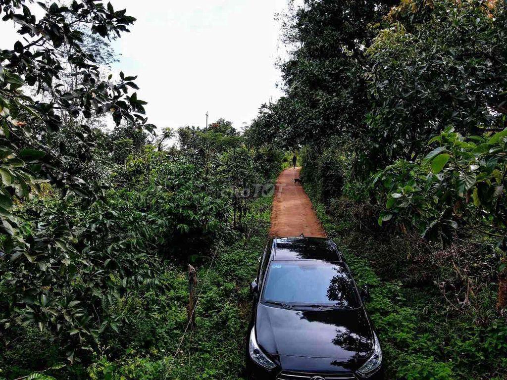 Bán Đất giá rẻ