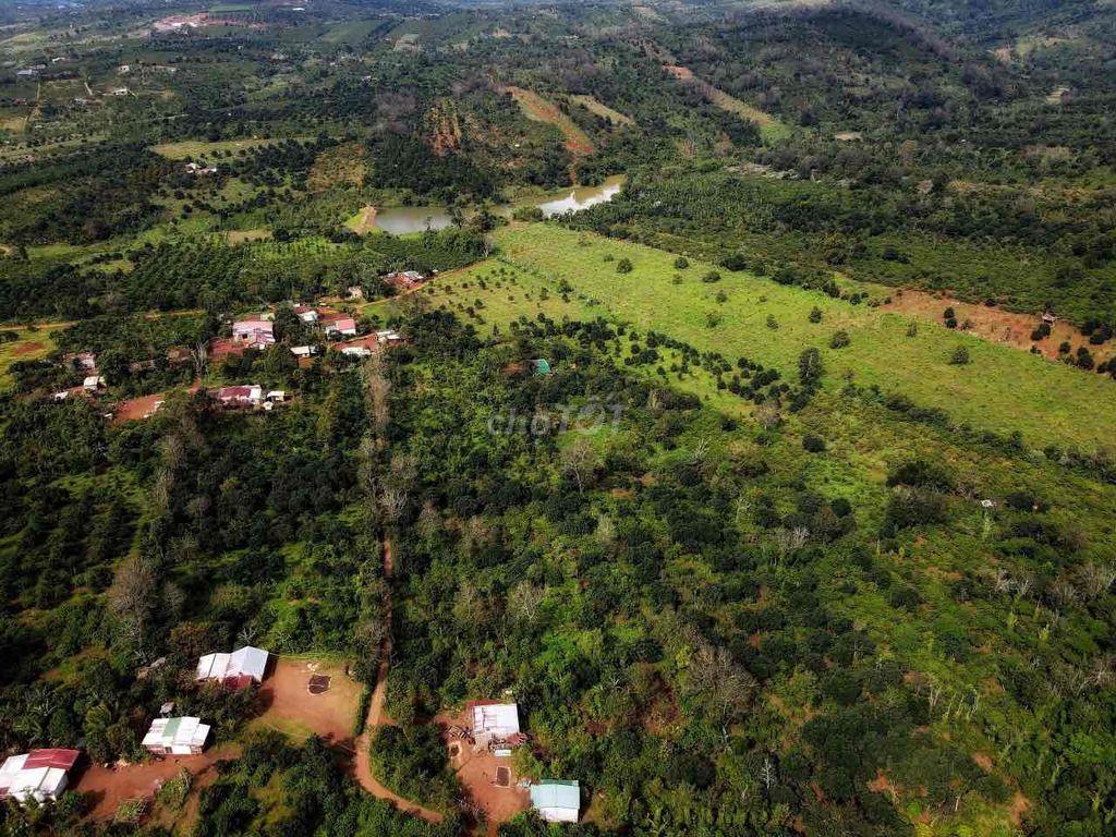 Bán Đất giá rẻ