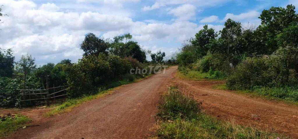 Bán Đất giá rẻ