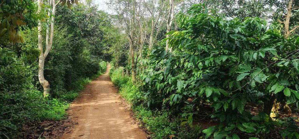 Bán Đất giá rẻ